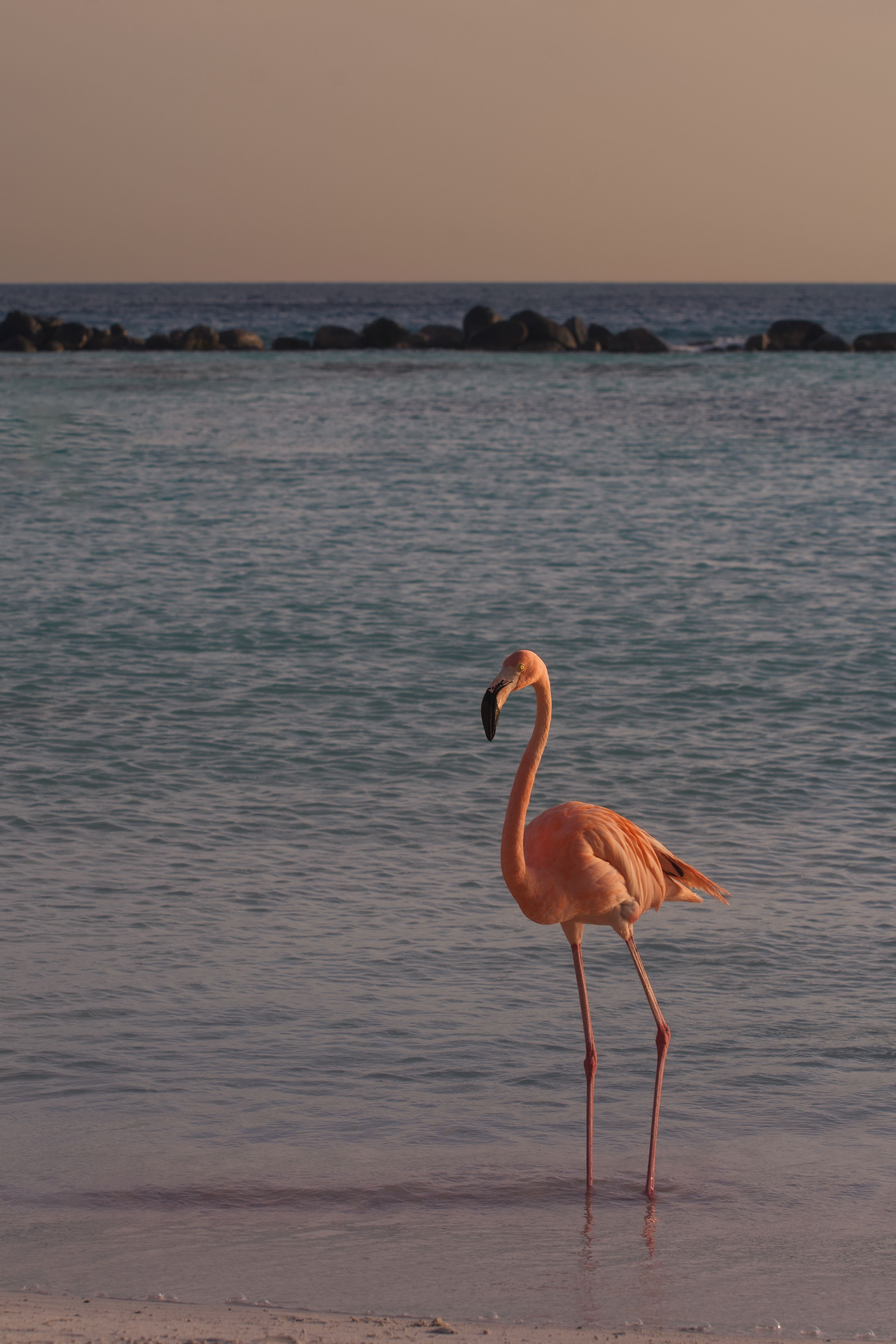 The Ultimate Guide to Jewelry Shopping in Aruba: What to Know Before You Go