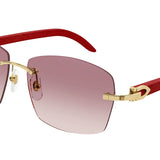Sunglasse