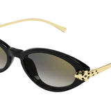 Sunglasse