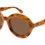 Sunglasse