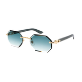 Cartier CT0439S-004 59 Sunglass Man Metal