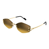 Sunglasse